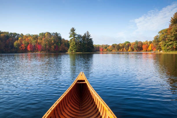 Looking forward from a wooden canoe across a calm Minnesota lake with fall colors on the shore.